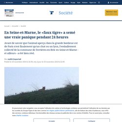 En Seine-et-Marne, le «faux tigre» a semé une vraie panique pendant 24 heures