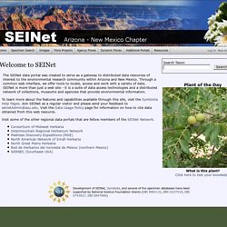 SEINet Portal Network Home