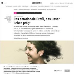 Selbsterkenntnis: Das emotionale Profil, das unser Leben prägt