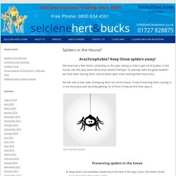 Spiders in the House? - SelClene Herts Domestic Cleaning Services