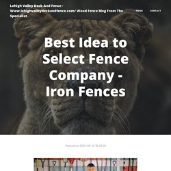 Best Idea to Select Fence Company - Iron Fences