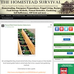 Raised Bed Herb Garden Selections
