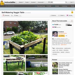 Self-Watering Veggie Table