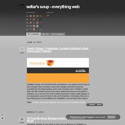 seltar's soup - everything web