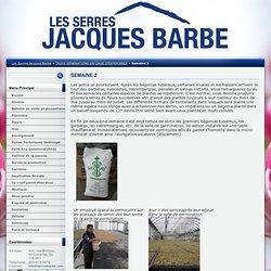 Les Serres Jacques Barbe
