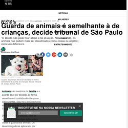 Guarda de animais é semelhante à de crianças, decide tribunal de São Paulo