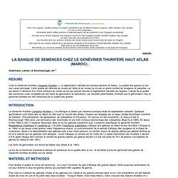 La Banque de semences chez le Genévrier thurifère Haut Atlas (Maroc) .