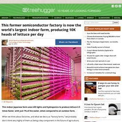 This former semiconductor factory is now the world's largest indoor farm, producing 10K heads of lettuce per day