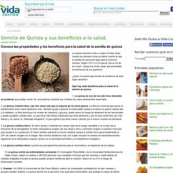 Semilla de Quinoa y sus beneficios a la salud.