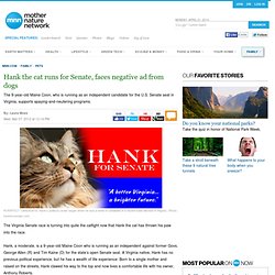 Humour: Hank the cat runs for Senate