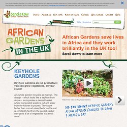African Gardens in the UK