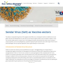 Sendai Virus vectors
