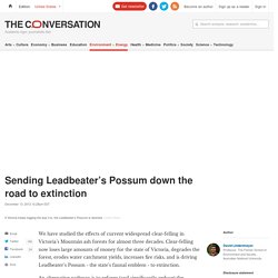 Sending Leadbeater’s Possum down the road to extinction