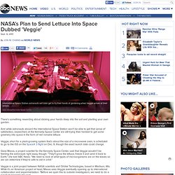 NASA Sending Lettuce Plants to International Space Station