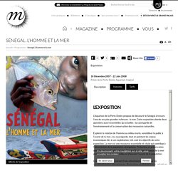 Sénégal. L’homme et la mer