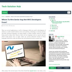 Where To Hire Senior Asp.Net MVC Developers From? - Tech Solution Hub