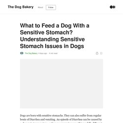 What to Feed a Dog With a Sensitive Stomach? Understanding Sensitive Stomach Issues in Dogs