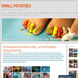 30 Sensory Bin Activities for Kids…A Small Potatoes Sensory Round-Up!