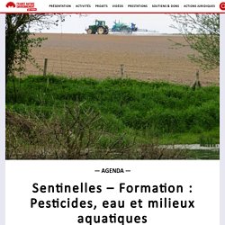 Sentinelles – Formation : Pesticides, eau et milieux aquatiques