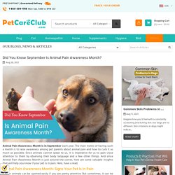 Did You Know September Is Animal Pain Awareness Month?