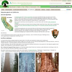 Séquoias géants en Californie