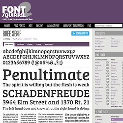 Free Font Bree Serif by TypeTogether