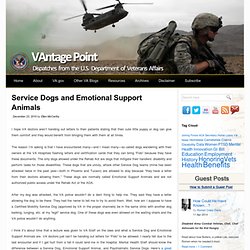 Service Dogs and Emotional Support Animals