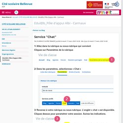 Service "Chat" - Edul@b_Pôle d'appui Albi - Carmaux - CITE SCOLAIRE BELLEVUE