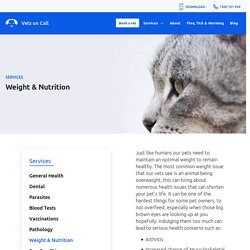 Service Weight and Nutrition