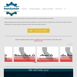 Hire Best Plumber for Shower Leak Repair - Handyman Solutions