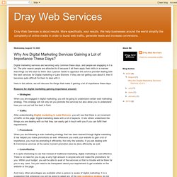 Dray Web Services: Why Are Digital Marketing Services Gaining a Lot of Importance These Days?