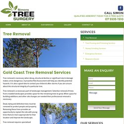 Gold Coast Tree Removal services cover Northern Rivers to South Brisbane