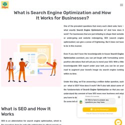 Search Engine Optimization Company