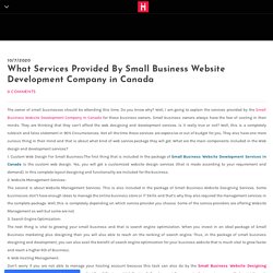 What Services Provided By Small Business Website Development Company in Canada