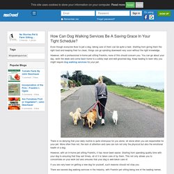 Dog Walking Services in Franklin
