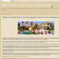 Things you should look out for choosing pest control services in Singapore