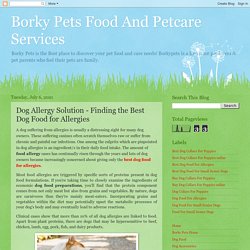 Dog Allergy Solution - Finding the Best Dog Food for Allergies