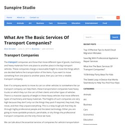 What Are The Basic Services Of Transport Companies?