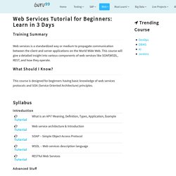 Web Services Tutorial for Beginners: Learn in 3 Days
