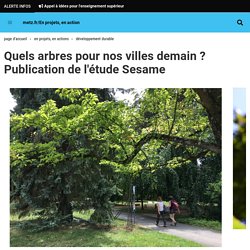 L’étude SESAME : les arbres, nos alliés pour l'avenir - metz.fr