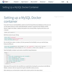 Setting Up a MySQL Docker Container
