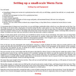 Setting up a small-scale worm farm