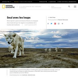 Seul avec les loups