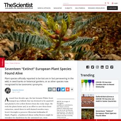 Seventeen "Extinct" European Plant Species Found Alive