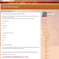 SFDC4Developer: "Setup" objects and "Non-setup" objects in SFDC