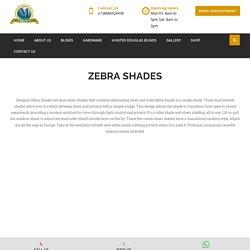 Zebra Shades for Home - Mega Traders Ltd