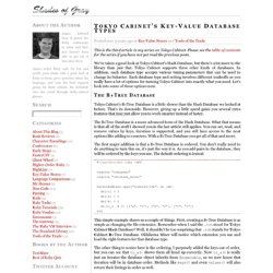 Shades of Gray: Tokyo Cabinet's Key-Value Database Types