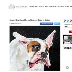 Shake: New Book Shows Hilarious Dogs in Motion