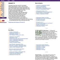 boards and shareholders in european listed companies facts