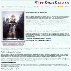 Tree Song Shaman - Communicating with Trees